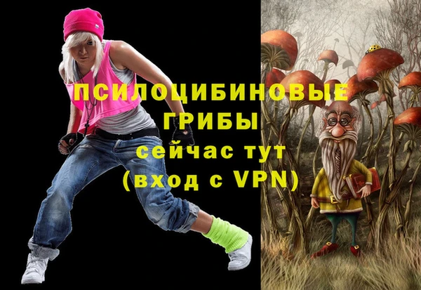 ешки Касимов