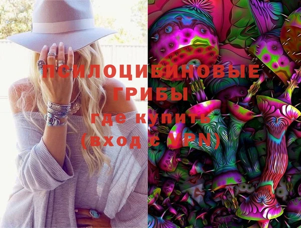 круглые Карпинск