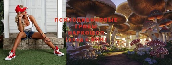 ешки Касимов
