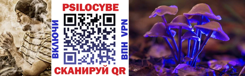 Купить закладки  Донецк  Галлюциногенные грибы мицелий 